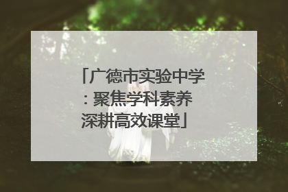 广德市实验中学：聚焦学科素养 深耕高效课堂
