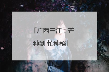 广西三江：芒种到 忙种稻