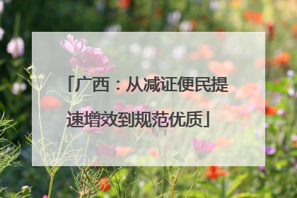 广西：从减证便民提速增效到规范优质