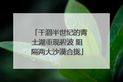 干涸半世纪的青土湖重现碧波 阻隔两大沙漠合拢