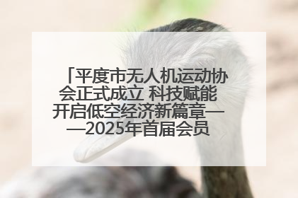 平度市无人机运动协会正式成立 科技赋能开启低空经济新篇章——2025年首届会员大会暨无人机应用发展论坛成功举办