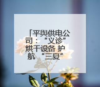 平舆供电公司：“义诊”烘干设备 护航 “三夏” 用电