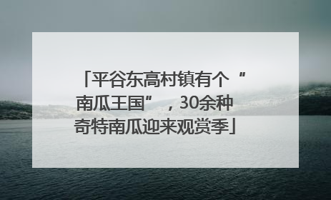 平谷东高村镇有个“南瓜王国”，30余种奇特南瓜迎来观赏季