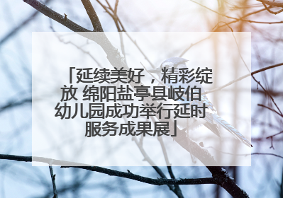 延续美好，精彩绽放 绵阳盐亭县岐伯幼儿园成功举行延时服务成果展