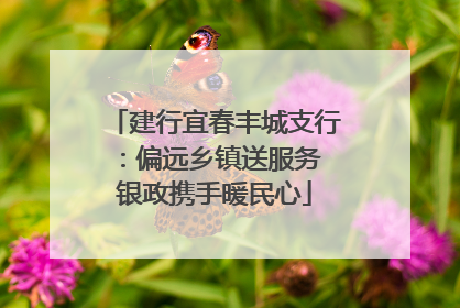 建行宜春丰城支行：偏远乡镇送服务 银政携手暖民心