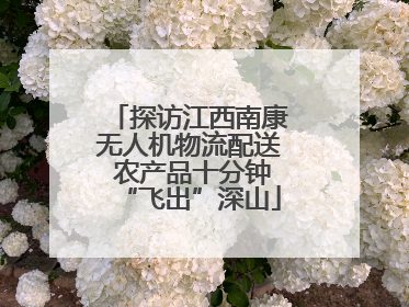 探访江西南康无人机物流配送 农产品十分钟“飞出”深山