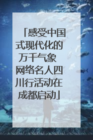 感受中国式现代化的万千气象 网络名人四川行活动在成都启动