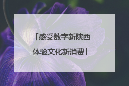 感受数字新陕西 体验文化新消费