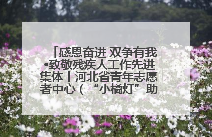 感恩奋进 双争有我•致敬残疾人工作先进集体丨河北省青年志愿者中心（“小橘灯”助残接力计划实施团队）：用温暖陪伴，守护特殊孩子成长