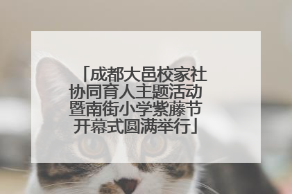 成都大邑校家社协同育人主题活动暨南街小学紫藤节开幕式圆满举行