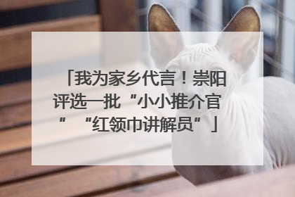 我为家乡代言！崇阳评选一批“小小推介官”“红领巾讲解员”