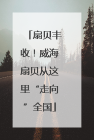 扇贝丰收！威海扇贝从这里“走向”全国