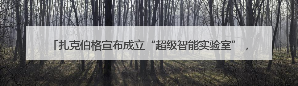 扎克伯格宣布成立“超级智能实验室”，11名新员工中7人来自OpenAI