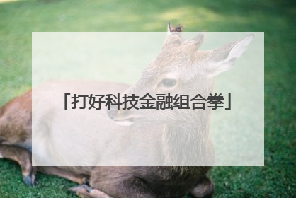 打好科技金融组合拳