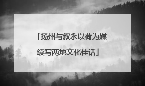 扬州与叙永以荷为媒续写两地文化佳话