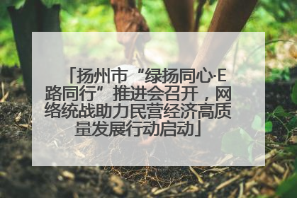 扬州市“绿扬同心·E路同行”推进会召开，网络统战助力民营经济高质量发展行动启动