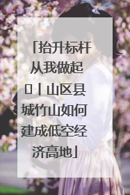 抬升标杆 从我做起⑭丨山区县城竹山如何建成低空经济高地