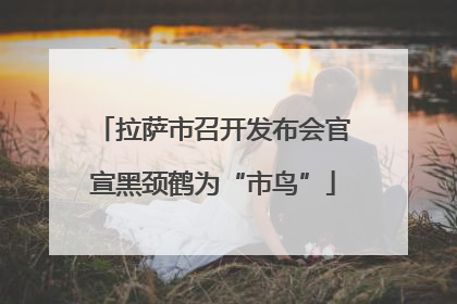 拉萨市召开发布会官宣黑颈鹤为“市鸟”