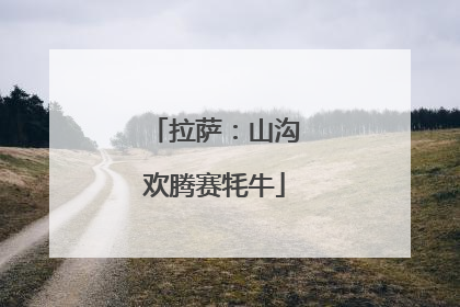 拉萨：山沟欢腾赛牦牛