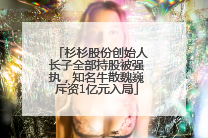杉杉股份创始人长子全部持股被强执，知名牛散魏巍斥资1亿元入局