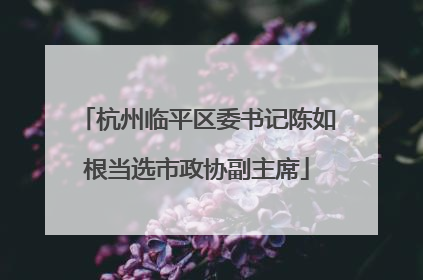 杭州临平区委书记陈如根当选市政协副主席