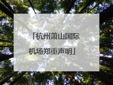 杭州萧山国际机场郑重声明