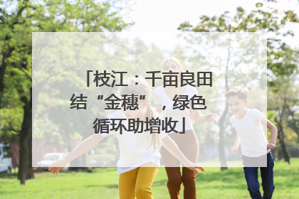 枝江：千亩良田结“金穗”，绿色循环助增收