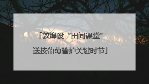 敦煌设“田间课堂” 送技葡萄管护关键时节