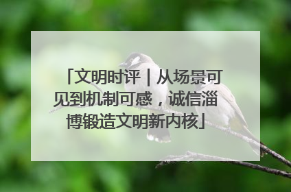 文明时评｜从场景可见到机制可感，诚信淄博锻造文明新内核