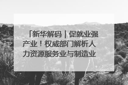 新华解码｜促就业强产业！权威部门解析人力资源服务业与制造业融合发展试点