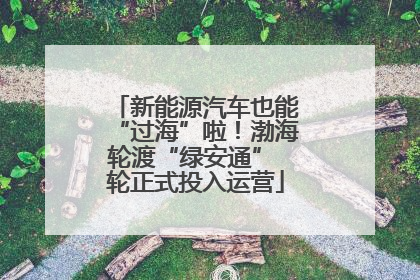 新能源汽车也能“过海”啦！渤海轮渡“绿安通” 轮正式投入运营