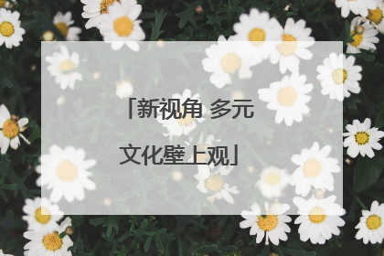 新视角 多元文化壁上观