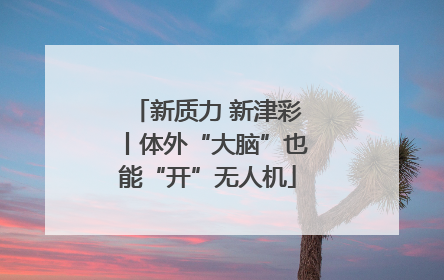 新质力 新津彩丨体外“大脑”也能“开”无人机