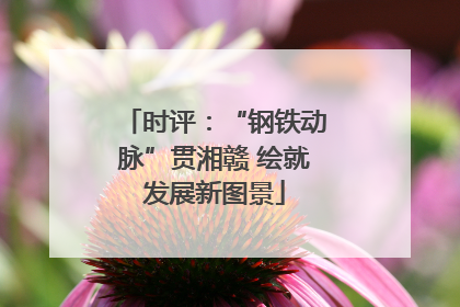时评：“钢铁动脉”贯湘赣 绘就发展新图景