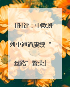 时评：中欧班列中通道赓续“丝路”繁荣