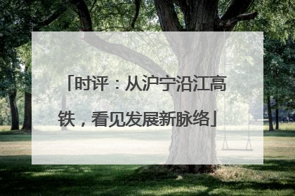 时评：从沪宁沿江高铁，看见发展新脉络