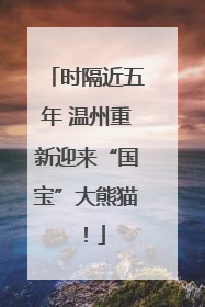 时隔近五年 温州重新迎来“国宝”大熊猫！