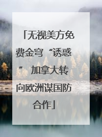 无视美方免费金穹“诱惑” 加拿大转向欧洲谋国防合作