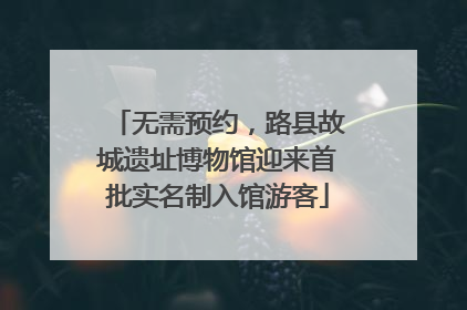 无需预约，路县故城遗址博物馆迎来首批实名制入馆游客