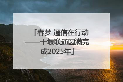 春梦 通信在行动——十堰联通圆满完成2025年