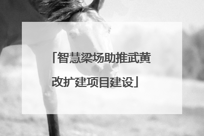 智慧梁场助推武黄改扩建项目建设