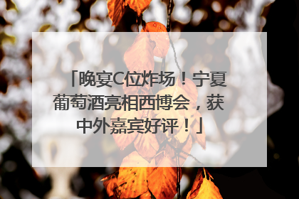 晚宴C位炸场！宁夏葡萄酒亮相西博会，获中外嘉宾好评！