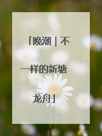晚潮｜不一样的新塘龙舟