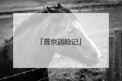 普京遇险记
