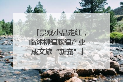 景观小品走红，临沭柳编藤编产业成文旅“新宠”