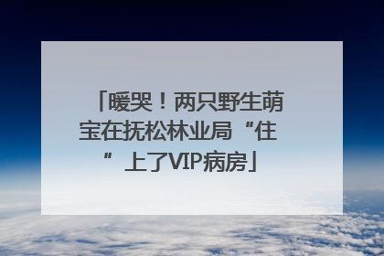 暖哭！两只野生萌宝在抚松林业局“住”上了VIP病房