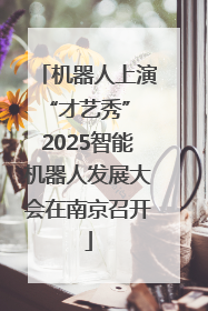 机器人上演“才艺秀” 2025智能机器人发展大会在南京召开