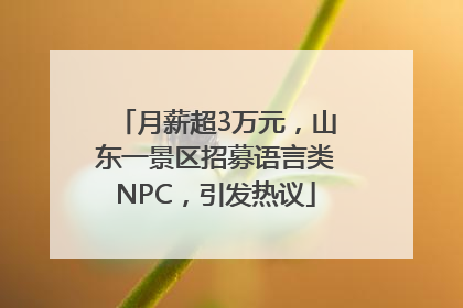 月薪超3万元，山东一景区招募语言类NPC，引发热议