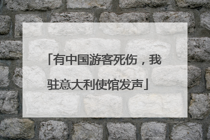 有中国游客死伤，我驻意大利使馆发声