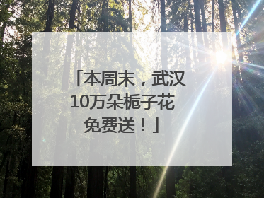 本周末，武汉10万朵栀子花免费送！